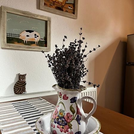 Olympus Country House Karia  외부 사진