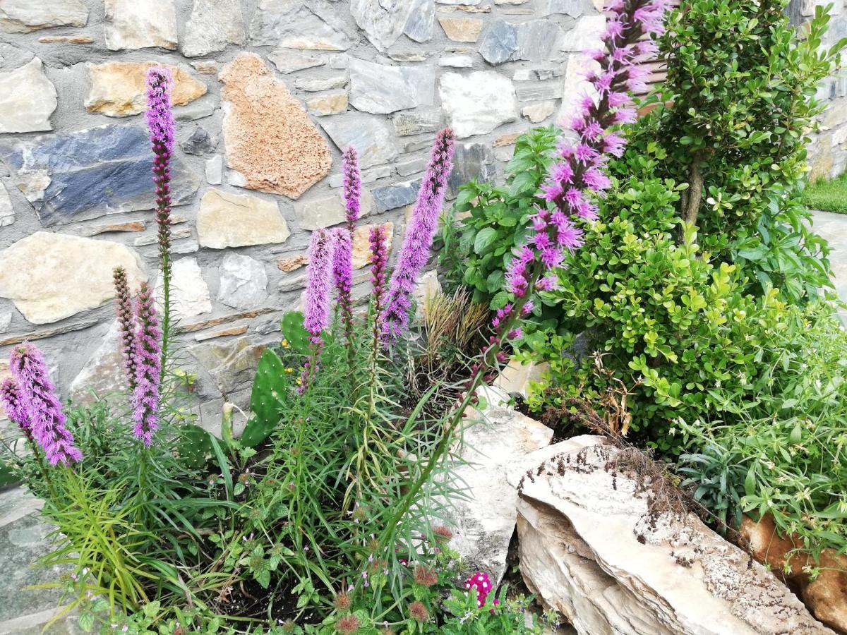 Olympus Country House Karia  외부 사진
