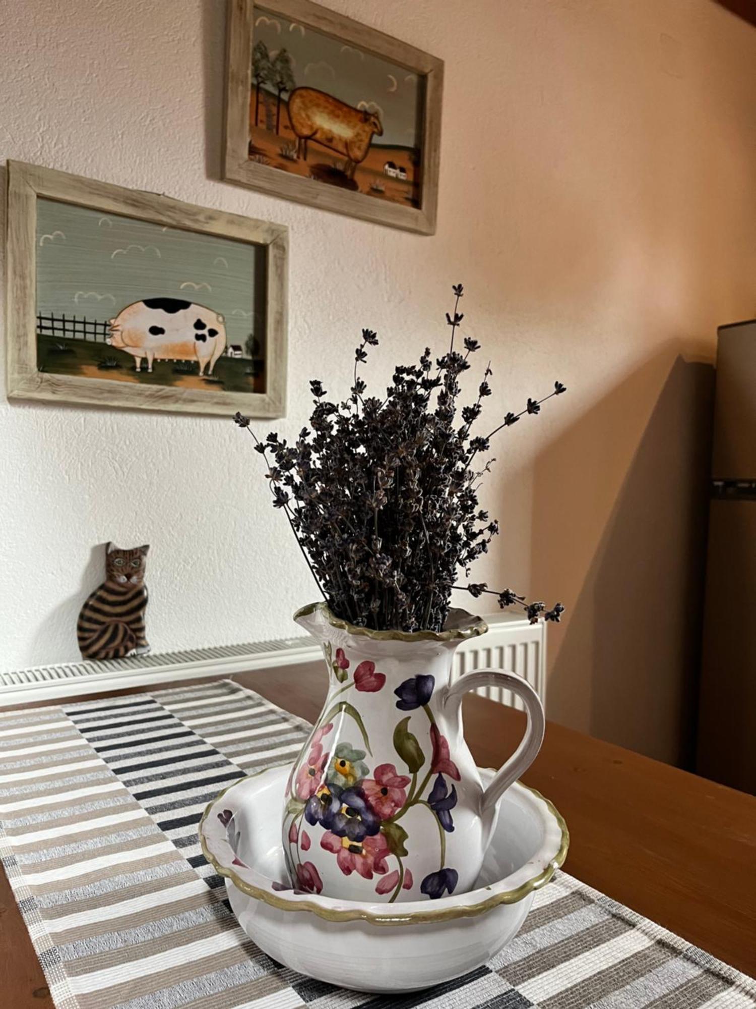 Olympus Country House Karia  외부 사진